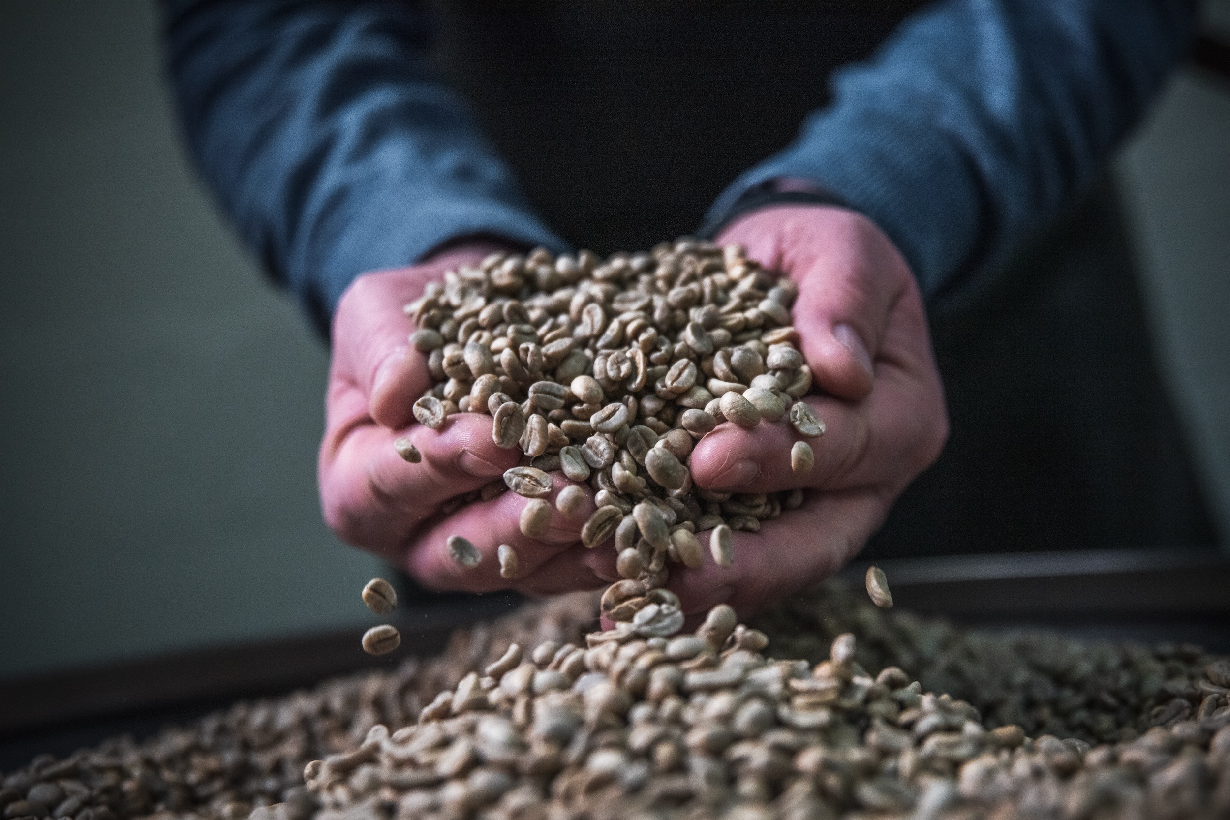 KoffieRuis – Specialty Coffee KoffieRuis - Specialty Coffee